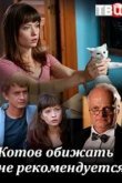  Котов обижать не рекомендуется 