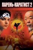  Парень-каратист 2 