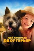  Мой любимый двортерьер 