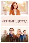  Чёрный дрозд 