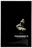  Полтергейст 2: Обратная сторона 