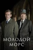  Молодой Морс 