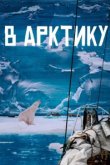  В Арктику 