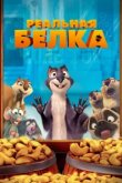  Реальная белка 