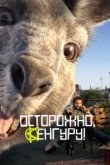  Осторожно, Кенгуру! 