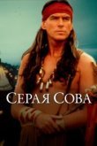  Серая сова 