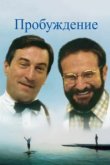  Пробуждение 