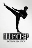  Кикбоксер возвращается 