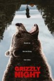 Ночь гризли