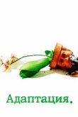  Адаптация 