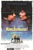  Мастер кунг-фу 