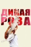  Дикая Роза 