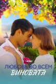  Любовь во всем виновата 