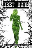  Цвет липы 