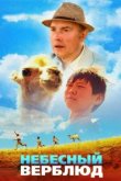  Небесный верблюд 