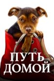  Путь домой 