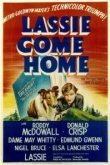  Лесси возвращается домой 