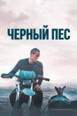  Чёрный пёс 