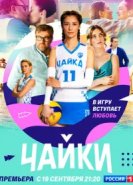  Чайки 