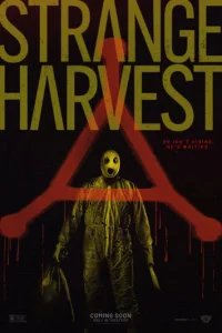  Странный урожай 