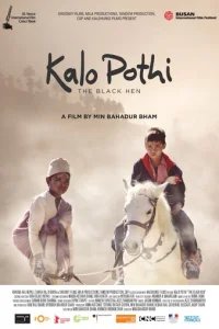  Чёрная курица 