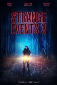  Странные дела 3 