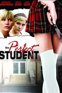  Идеальный студент 