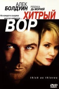  Хитрый вор 