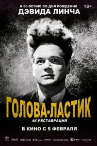  Голова-ластик 