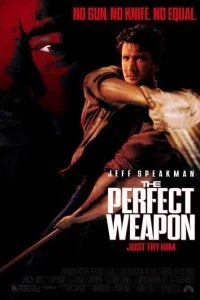  Совершенное оружие 