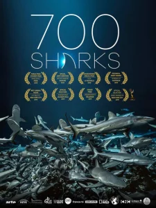 700 акул 700 акул