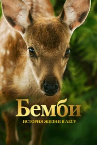 Бемби. История жизни в лесу Бемби. История жизни в лесу
