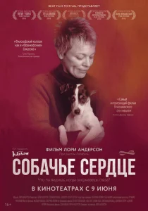 Собачье сердце Собачье сердце
