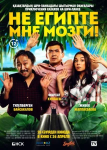 Не египте мне мозги! Не египте мне мозги!