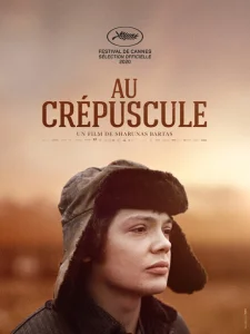 В сумерках В сумерках