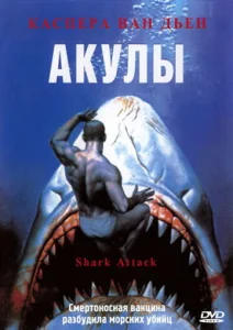 Акулы Акулы