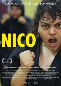 Нико Нико