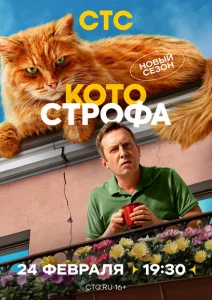 Котострофа Котострофа