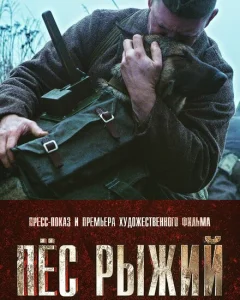 Пёс рыжий Пёс рыжий
