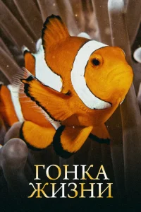 Гонка жизни Гонка жизни